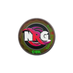 Наклейка | NRG (голографическая) | Катовице 2019